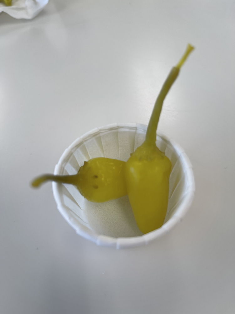 Picture of Food