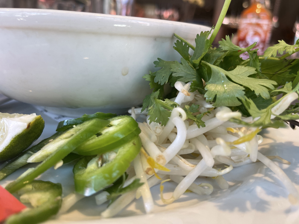 Picture of Food