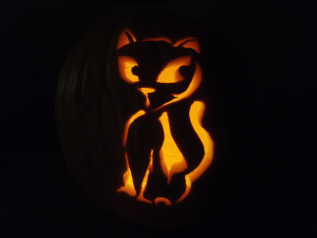 Pictures of Pummpkins